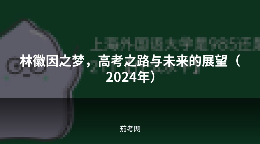林徽因之梦，高考之路与未来的展望（2024年）