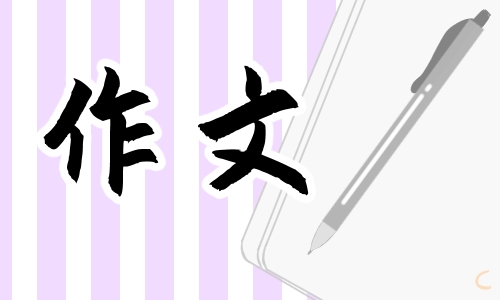 高三我来了作文800字