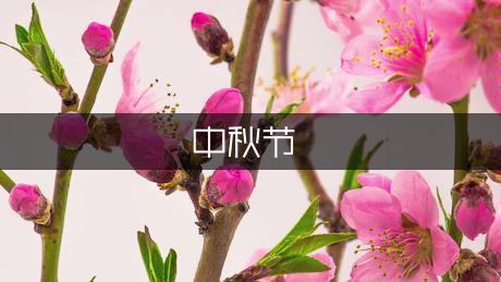 中秋节的思念祝福语精选（热门9篇）