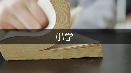 我那语文老师小学生作文200字（优质9篇）