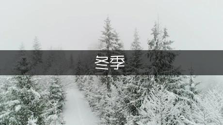 冬季第一次的下雪天作文500字（优秀1篇）