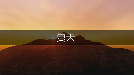 这个夏天550字（精选5篇）