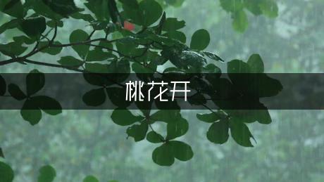 公园里桃花开了日记（汇总5篇）