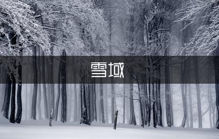 雪域*魂爱国诗歌（优秀2篇）