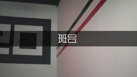 圣诞主题班会作文（汇总4篇）