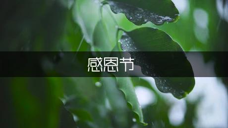 感恩节贺卡祝福语大全（专业9篇）