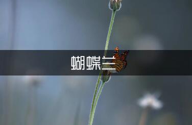 蝴蝶兰二年级作文（专业2篇）