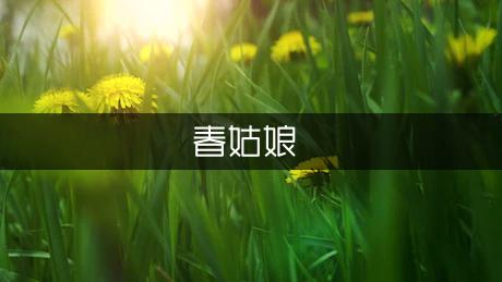 春姑娘醒来了作文（优秀5篇）