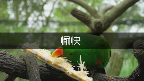 愉快的秋天作文（实用1篇）