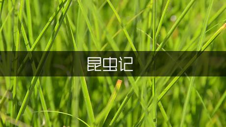 昆虫记读后感字初中（优质9篇）