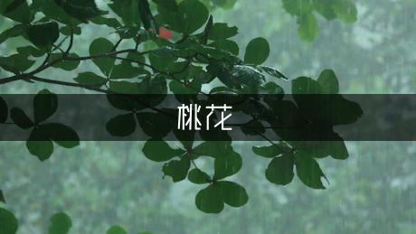 桃花雨二首现代诗（精选5篇）