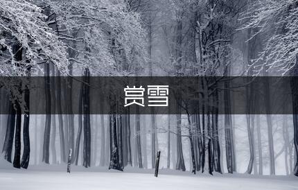 赏雪写景作文300字（模板3篇）