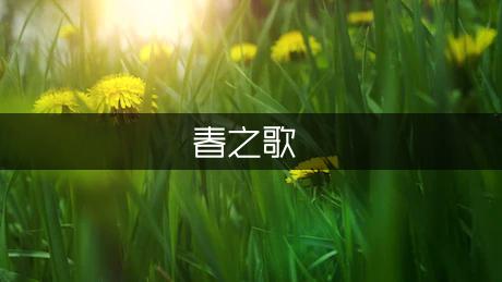 《青春之歌》的读后感2000字（通用9篇）