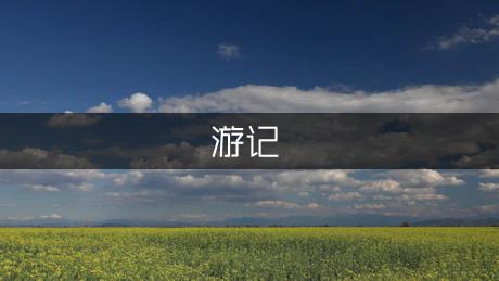 嵊泗列岛游记作文（通用9篇）