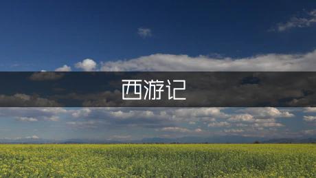 《西游记》读后感400字（优秀8篇）