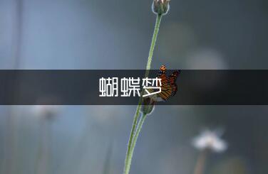 邂逅一场蝴蝶梦现代诗歌欣赏（实用1篇）