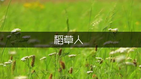 关于写稻草人的三年级作文（优秀5篇）