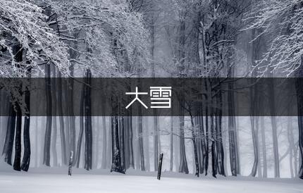 春天的大雪作文250字（专业9篇）