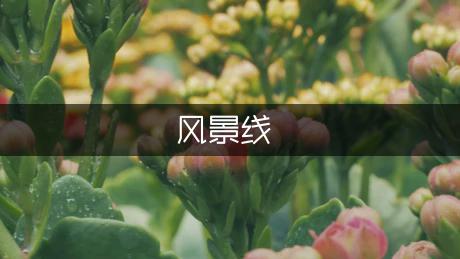 四季走过风景线作文（优秀9篇）