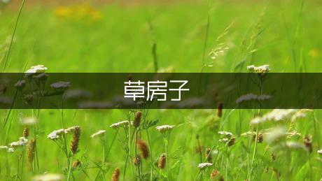 《草房子》读后感200字（专业5篇）