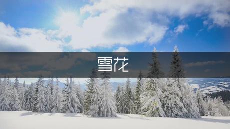 雪花优美诗歌（优秀1篇）