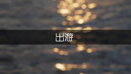 夏夜出游作文300字（专业9篇）