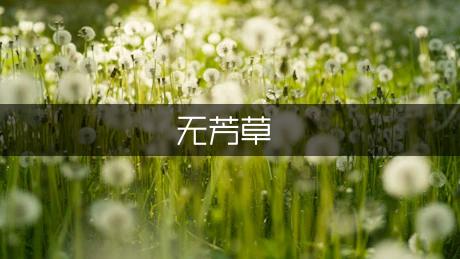 天涯何处无芳草900字作文（优质2篇）