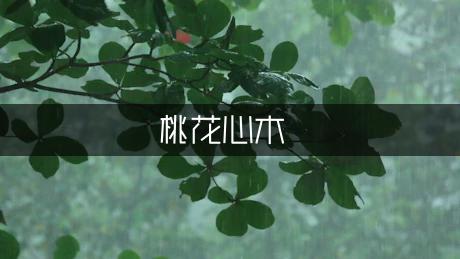 读《桃花心木有感》500字（汇总7篇）