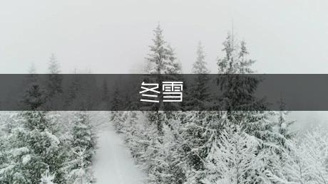 冬雪初三年级作文（优秀9篇）