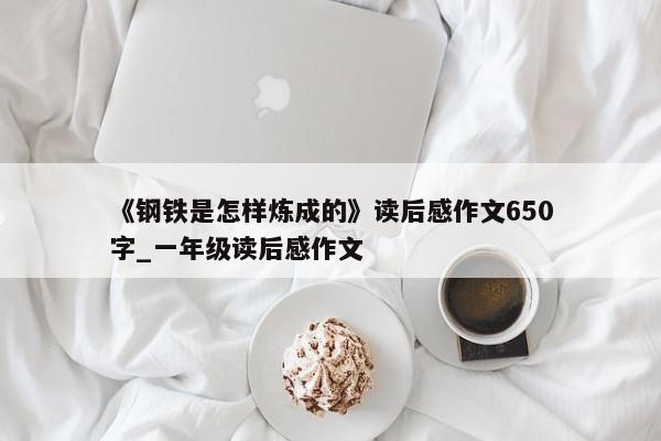 《钢铁是怎样炼成的》读后感作文650字_一年级读后感作文