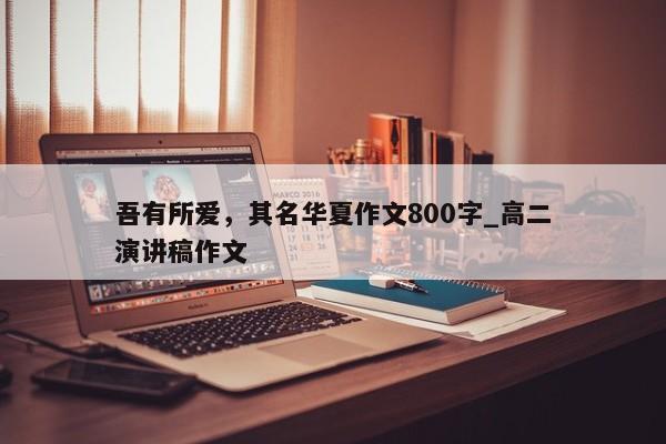 吾有所爱，其名华夏作文800字_高二演讲稿作文