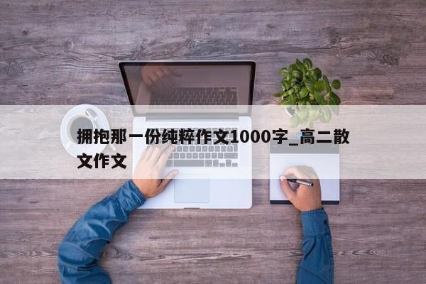 拥抱那一份纯粹作文1000字_高二散文作文