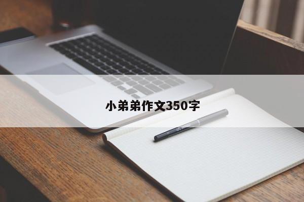 小弟弟作文350字