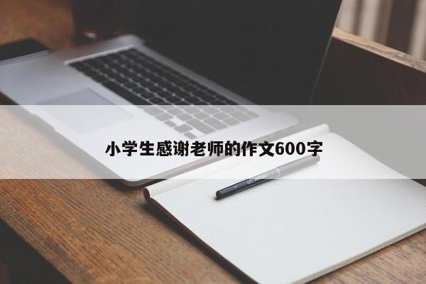 小学生感谢老师的作文600字