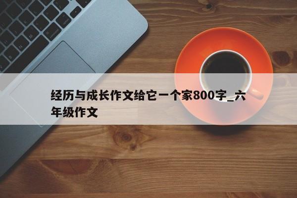 经历与成长作文给它一个家800字_六年级作文