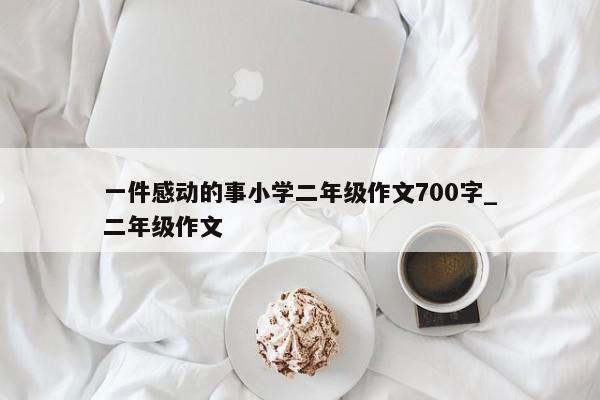 一件感动的事小学二年级作文700字_二年级作文