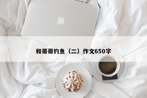 和哥哥钓鱼（二）作文650字