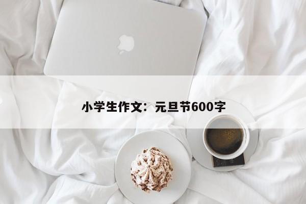 小学生作文：元旦节600字