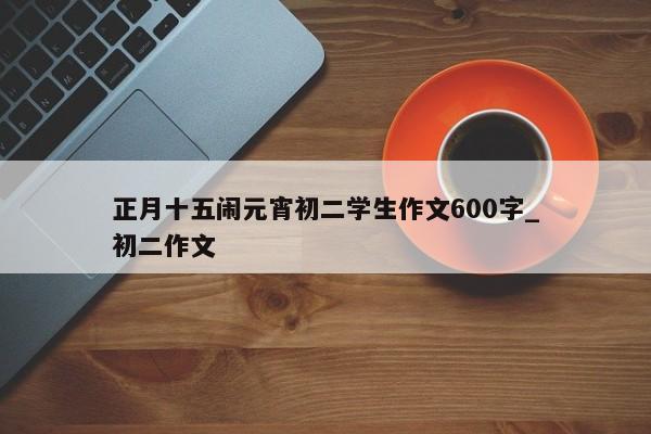 正月十五闹元宵初二学生作文600字_初二作文