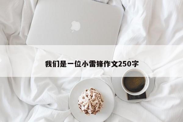 我们是一位小雷锋作文250字