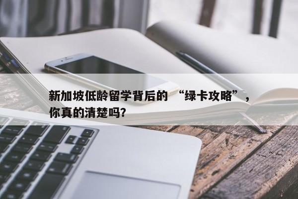 新加坡低龄留学背后的 “绿卡攻略”，你真的清楚吗？